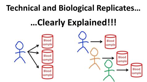 what is a technical replicate|biological replicate and technical replicate.